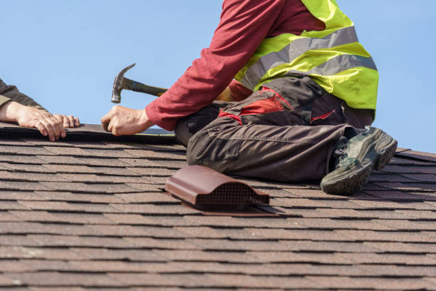 Best Roof Gutter Cleaning  in Hollister, CA